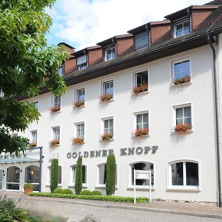 Hotel Goldener Knopf Bad Säckingen Dış mekan fotoğraf
