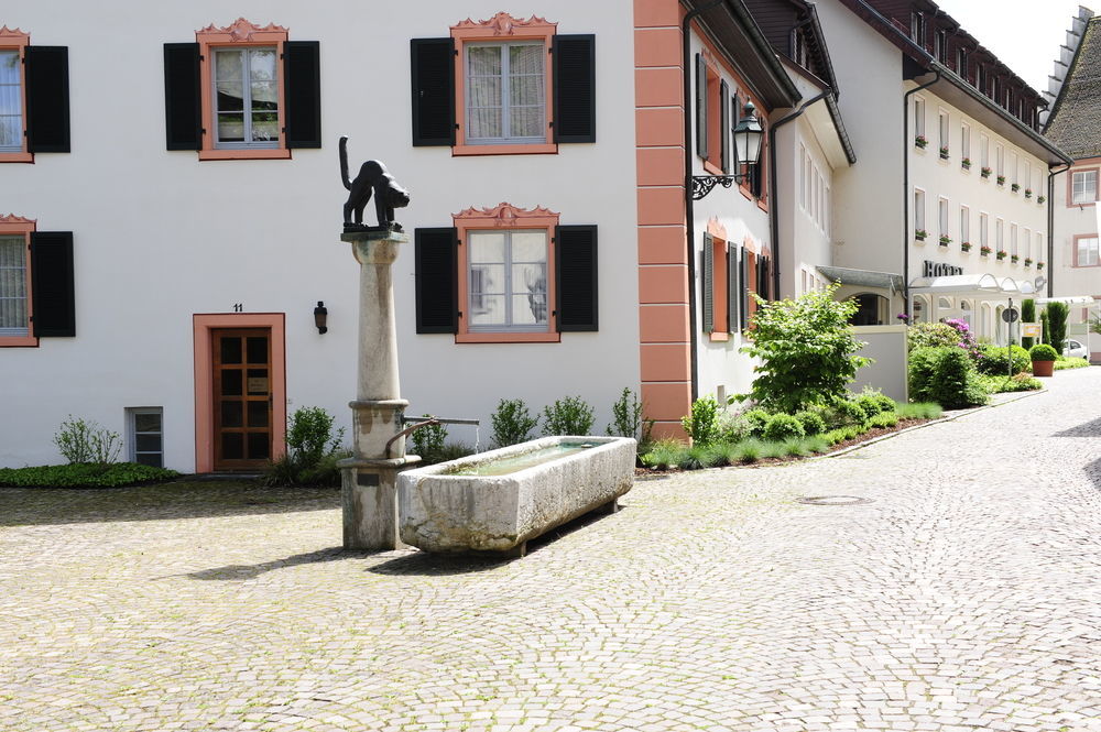Hotel Goldener Knopf Bad Säckingen Dış mekan fotoğraf